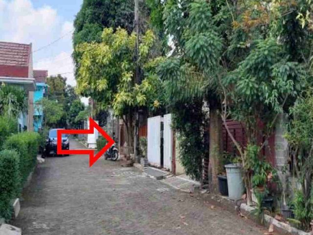 place photo 13