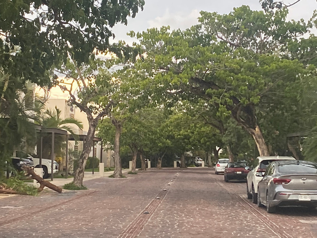 place photo 24