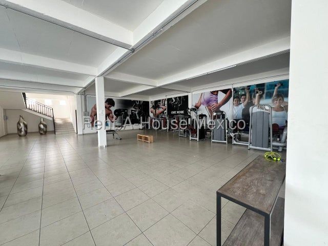 place photo 30