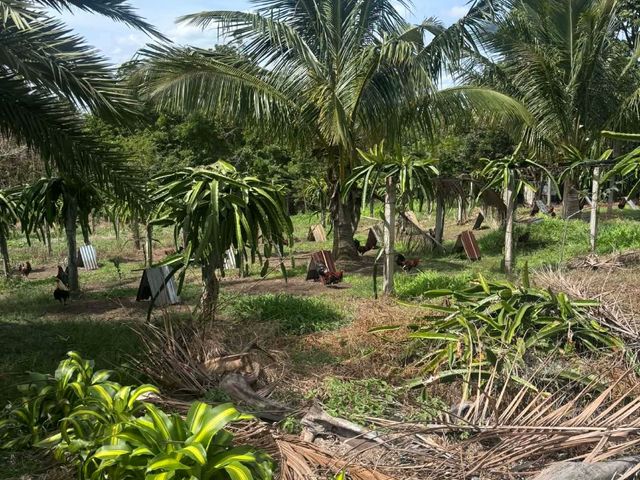 place photo 12