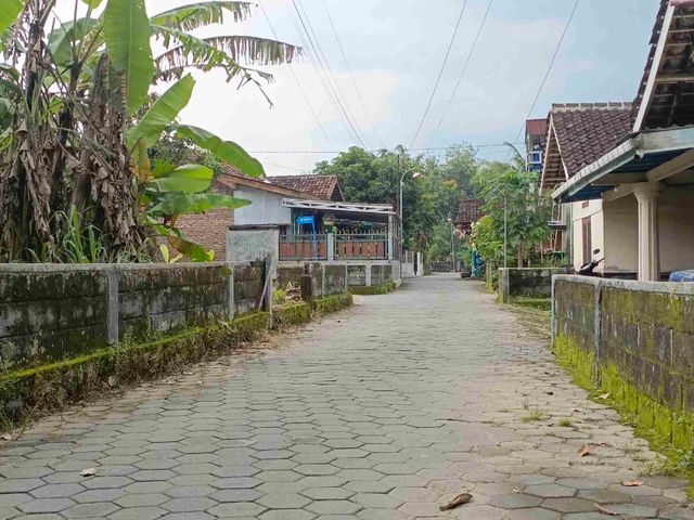 place photo 1