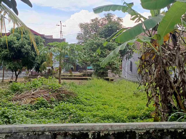 place photo 3