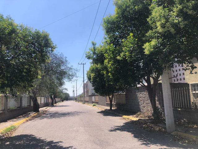 place photo 28