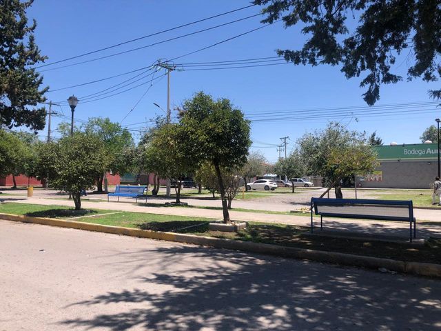place photo 33