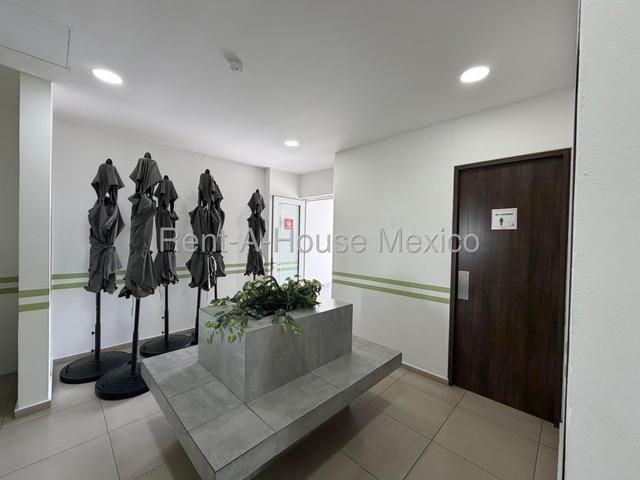 place photo 40