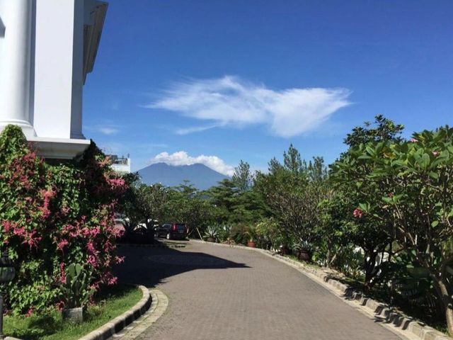 place photo 14