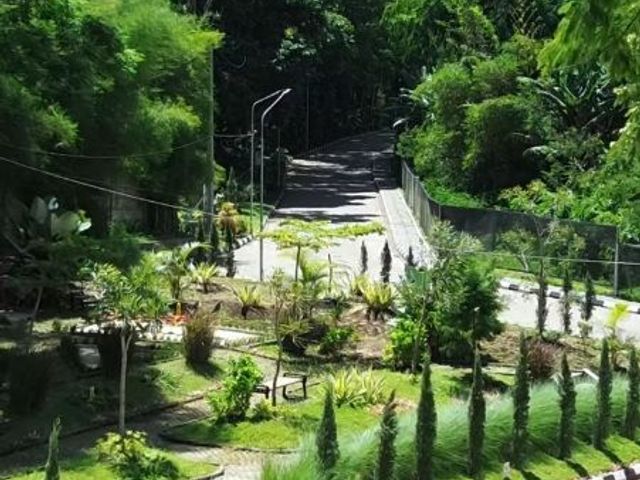 place photo 16