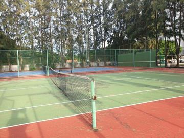 place photo 19