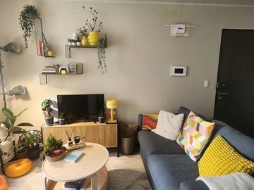 place photo 28