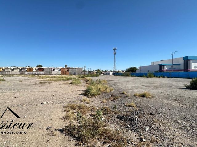 place photo 14