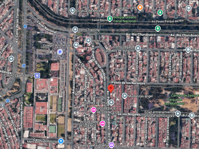 place photo 14