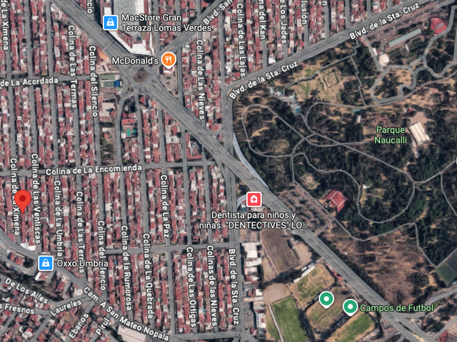 place photo 15