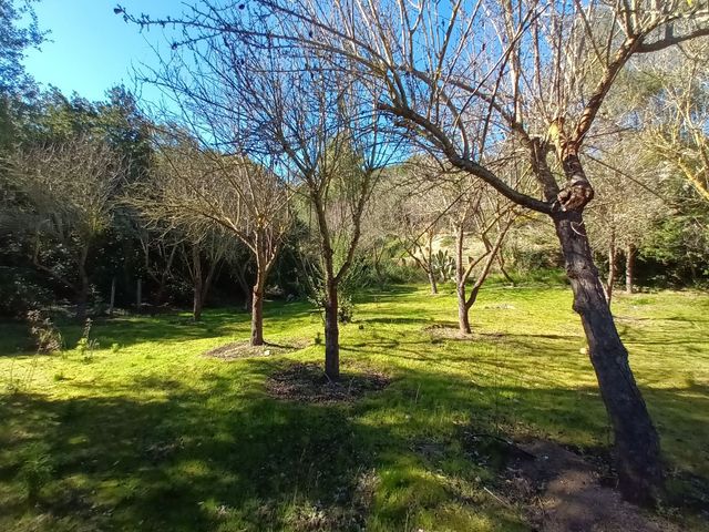 place photo 89