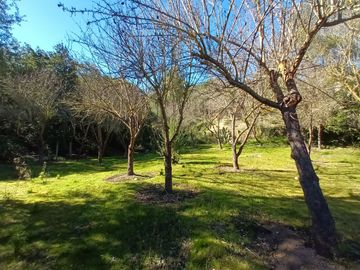 place photo 89