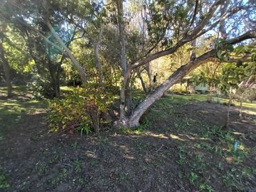 place photo 79