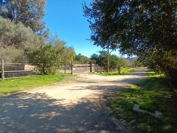 place photo 100