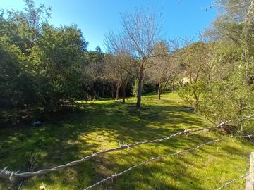 place photo 65