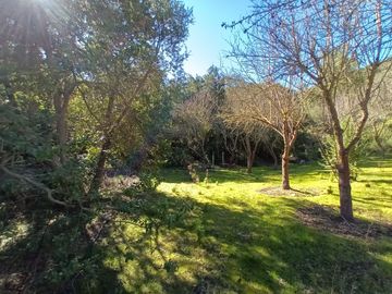 place photo 92