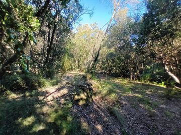 place photo 88
