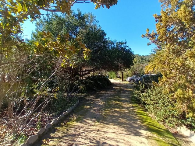 place photo 73