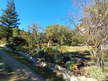 place photo 97