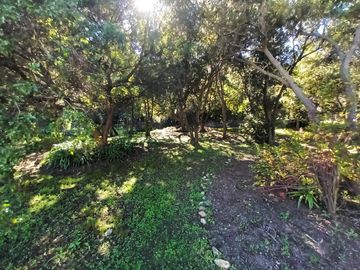 place photo 84