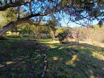 place photo 85