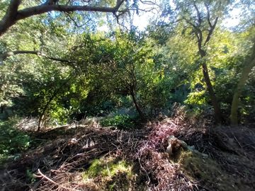place photo 90