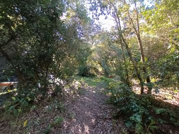 place photo 87