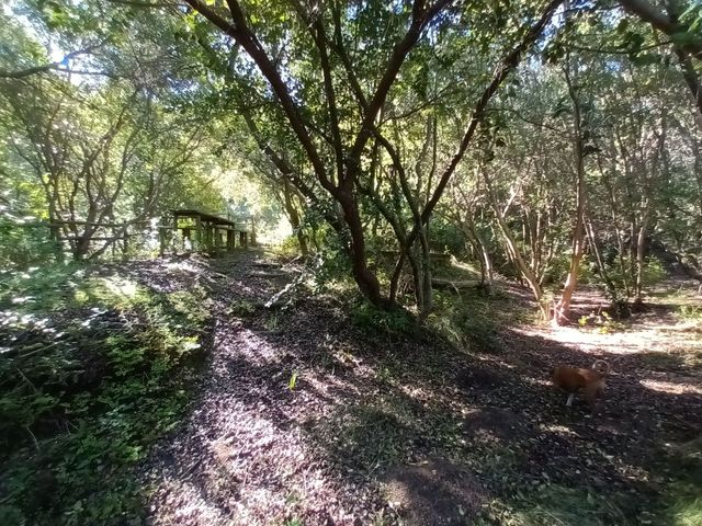 place photo 86