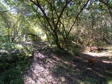 place photo 86
