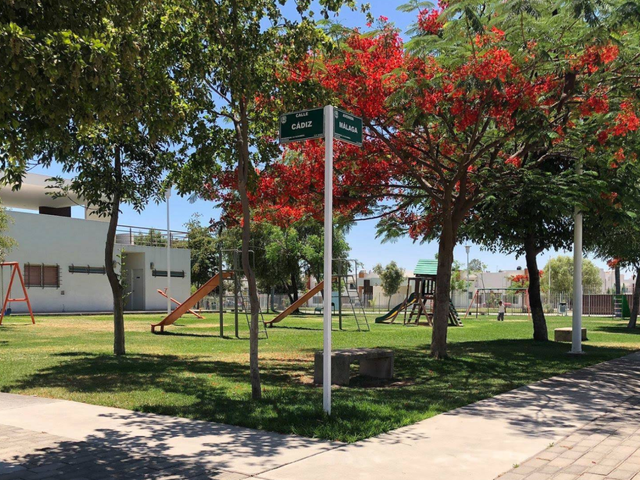 place photo 13