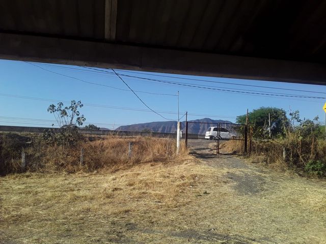 place photo 16