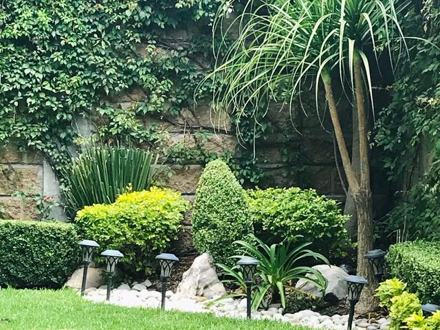 place photo 45