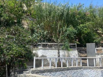place photo 26