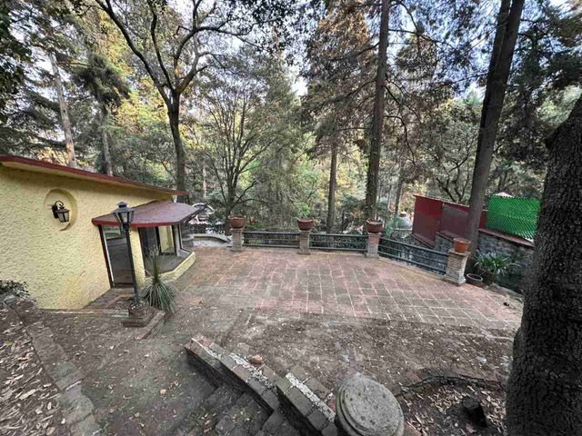 place photo 24