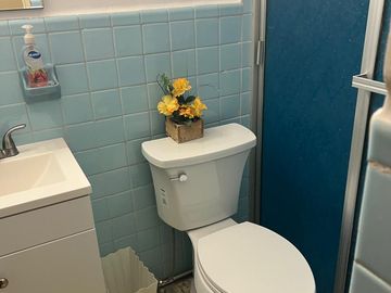 place photo 16