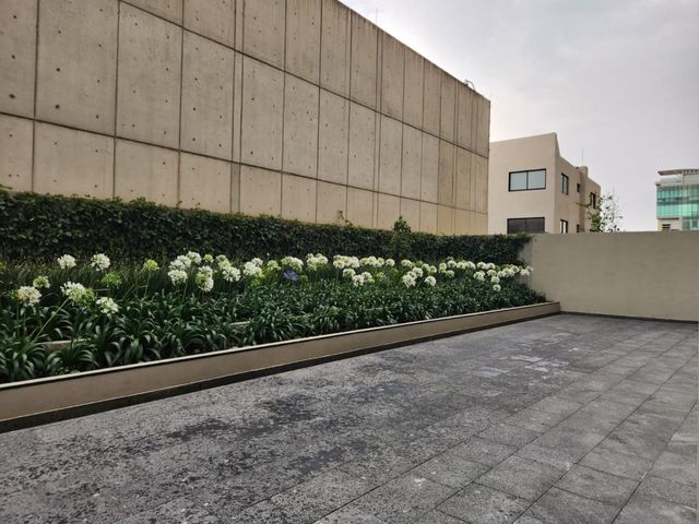 place photo 63