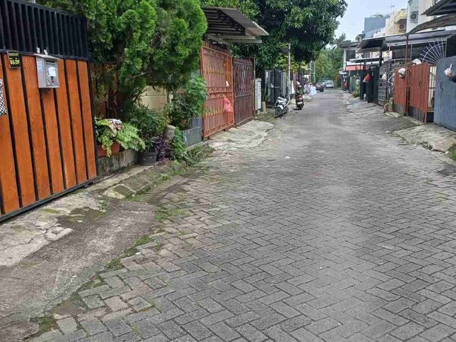 place photo 14