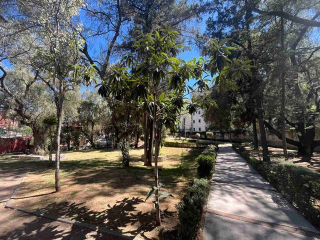 place photo 43