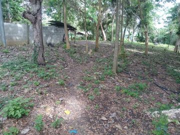 place photo 21