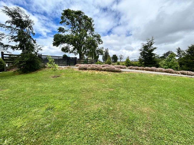 place photo 27