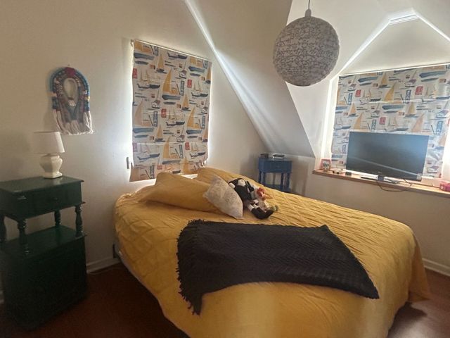 place photo 56