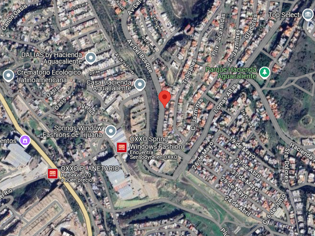 place photo 10