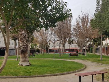 place photo 13