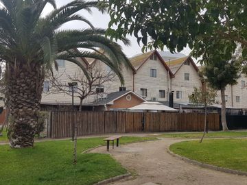 place photo 14