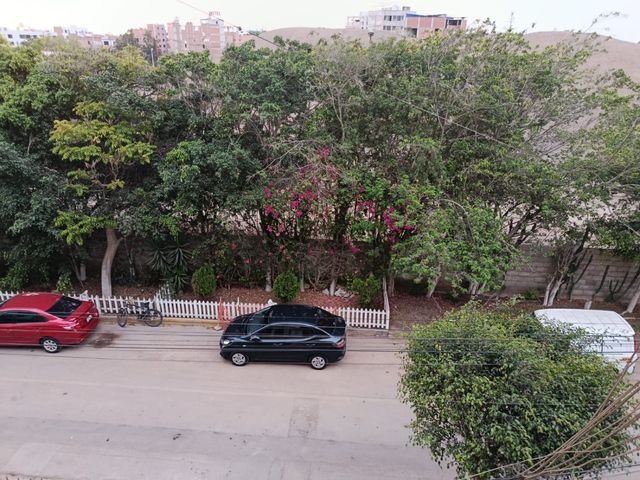 place photo 35