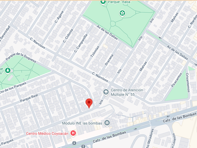 place photo 12