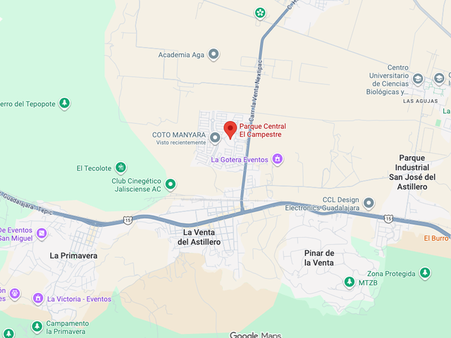 place photo 8