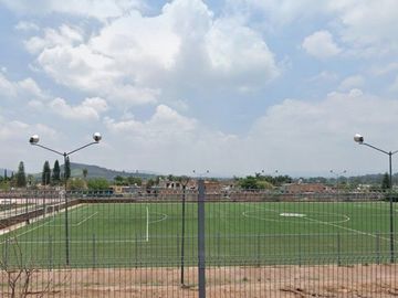 place photo 16